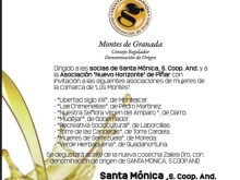 Cata de Aceite de Oliva en Santa Mónica